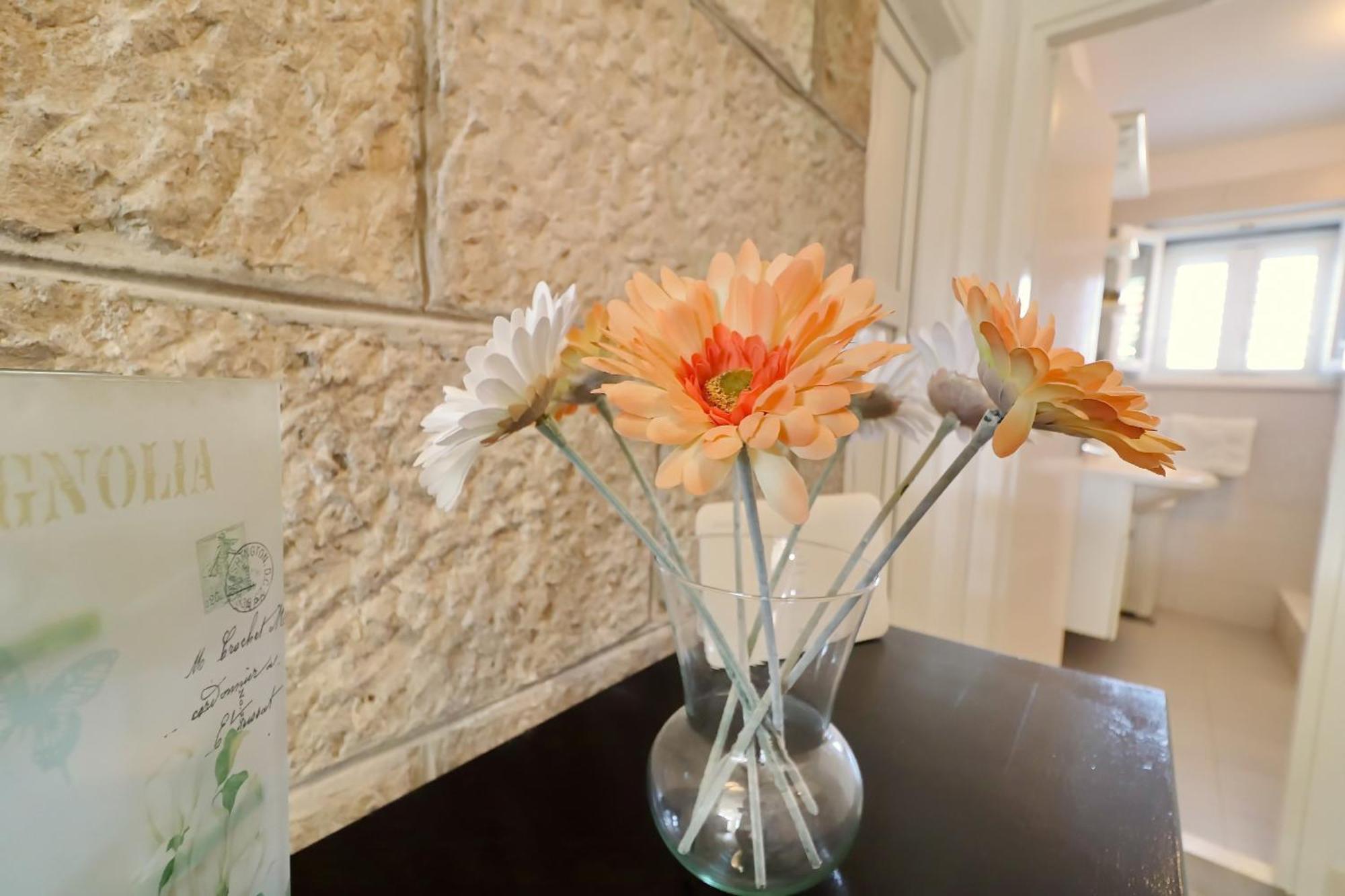 Villa Ivana Zrnovo المظهر الخارجي الصورة